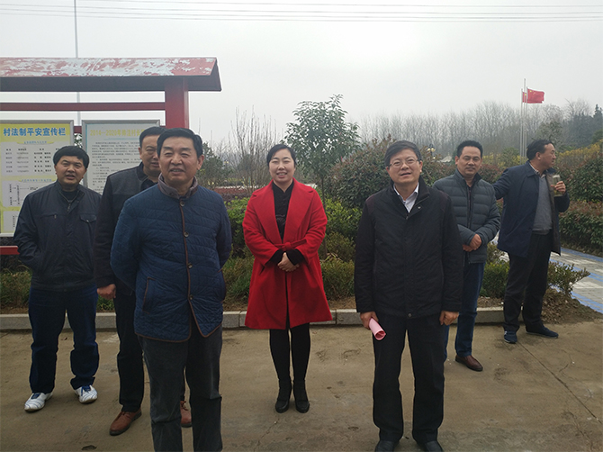 1514181773115923.jpg 01.jpg