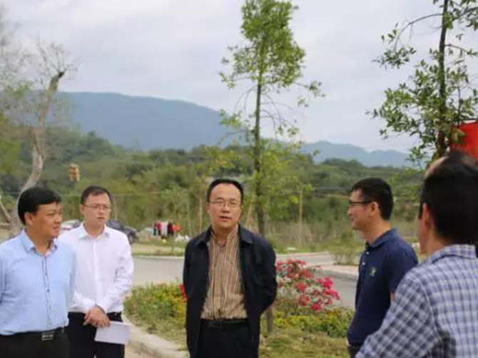 1514182638640743.jpg 01.jpg