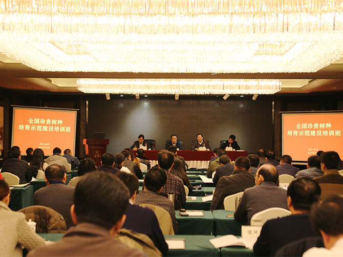 1514186965700428.jpg 02.jpg