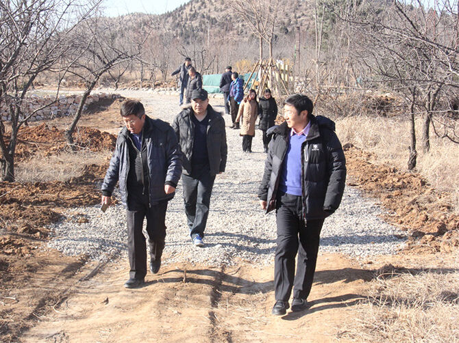 1514187202430318.jpg 01.jpg