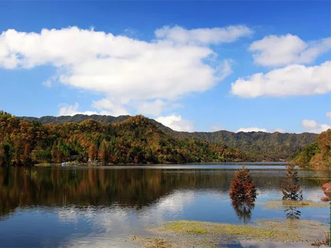 1514188176108810.jpg 01.jpg