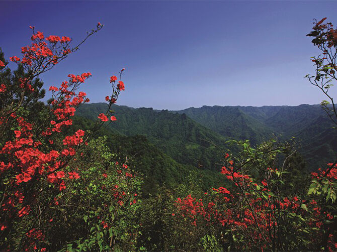 1514188512137886.jpg 02.jpg