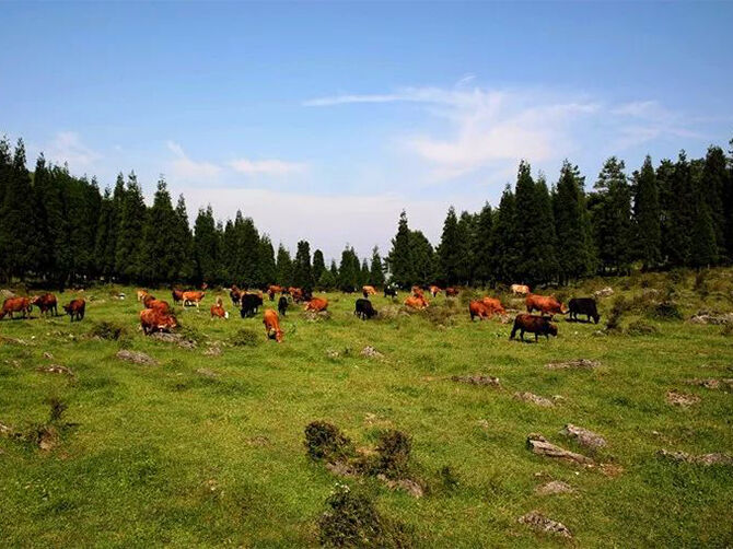 1514189421316283.jpg 06.jpg