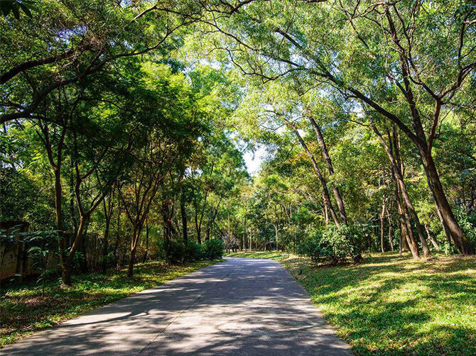 1517819833518963.jpg 5ef341404804ddaabba64ad362fb83bf.jpg