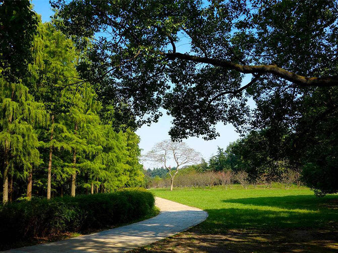 1517819949873717.jpg 7fd9129cab14fbb23f6baa4ba07dfdb4.jpg