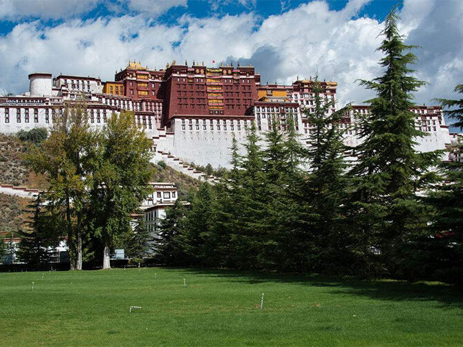 1517827746799788.jpg 01.jpg