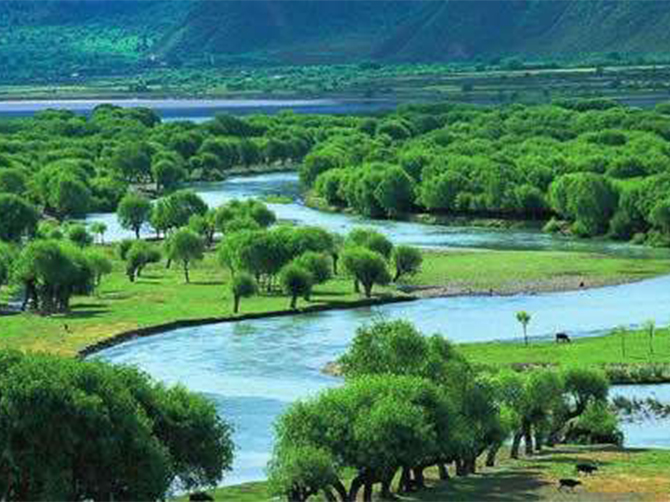 1517827778109008.jpg 02.jpg