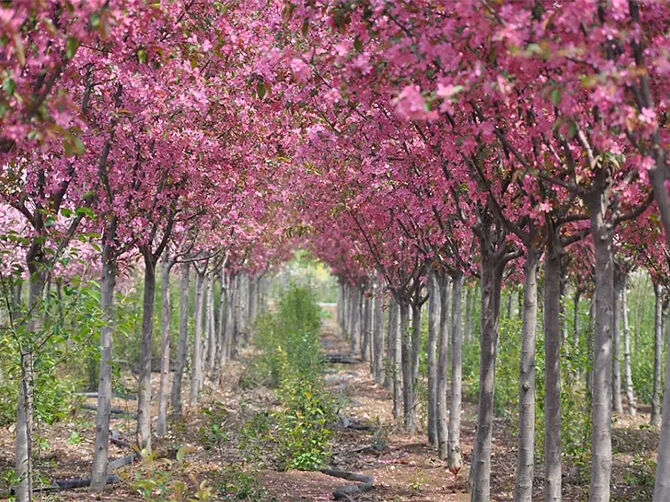 1519725723127976.jpg 02.jpg