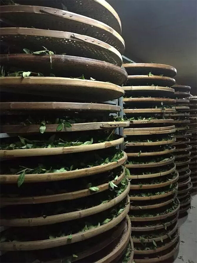 1519725799106176.jpg 04.jpg