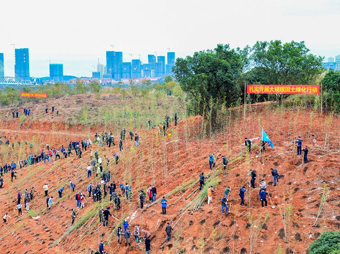 1520691854132546.jpg 01.jpg