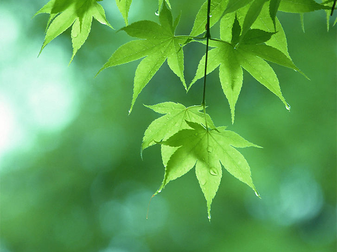 1520692875135829.jpg 03.jpg