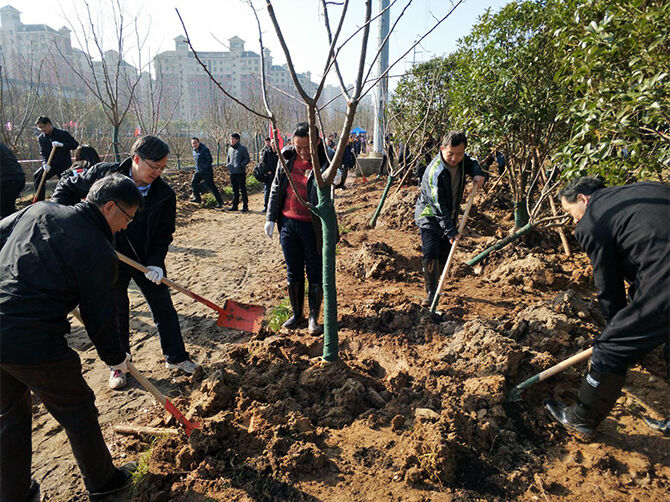 1520694060576582.jpg 图片5.jpg