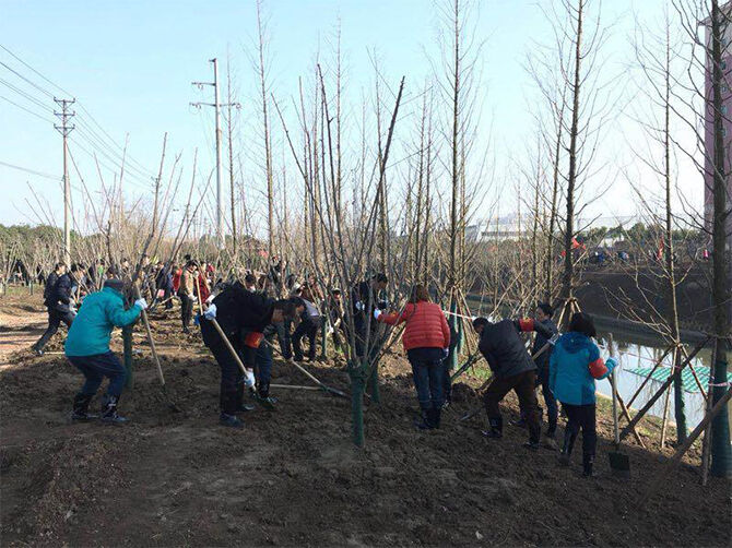 1520694177125893.jpg 图片8.jpg