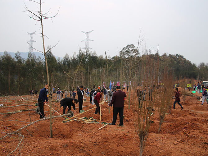 1520946945275360.jpg 新闻四.jpg