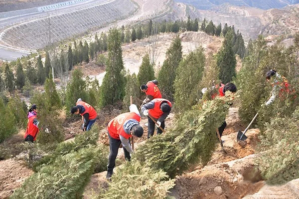 1521776371114008.jpg 28.jpg