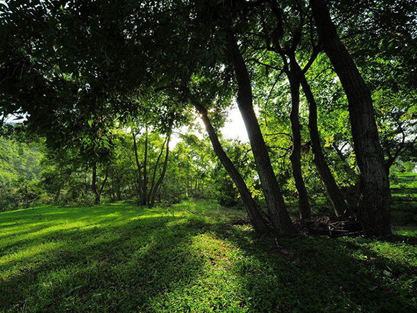 1522289479116215.jpg timg.jpg