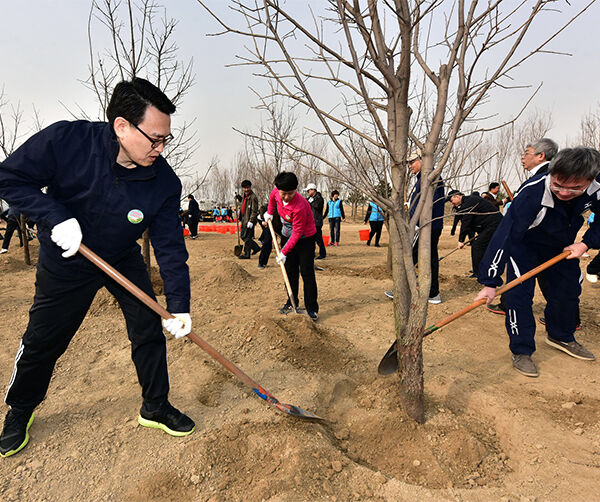 1522744683687045.jpg 03.jpg