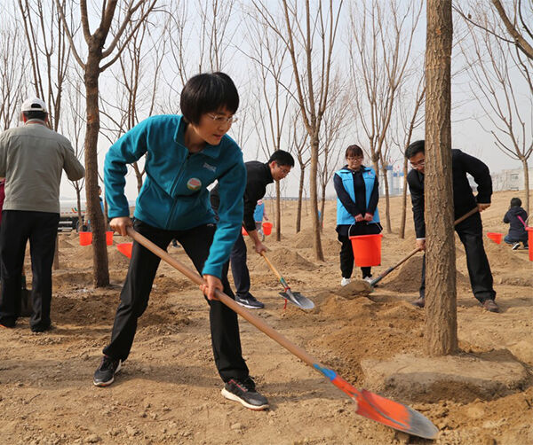 1522744694345717.jpg 05.jpg