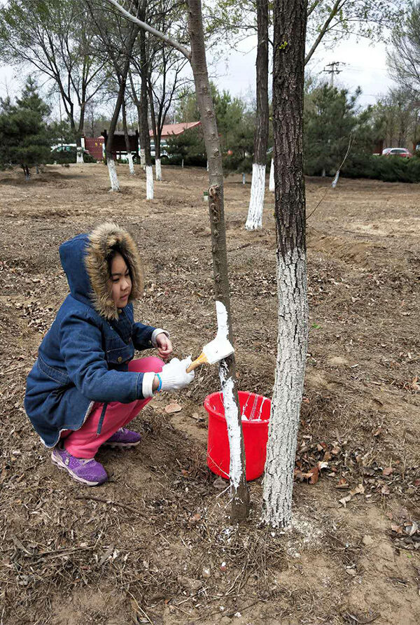 1523962690760285.jpg 图片2.jpg