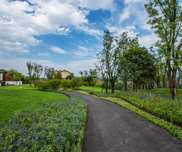 1523962816986976.jpg 01.jpg