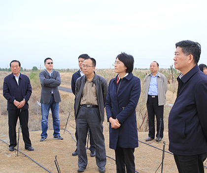 1524827611346534.jpg 03.JPG