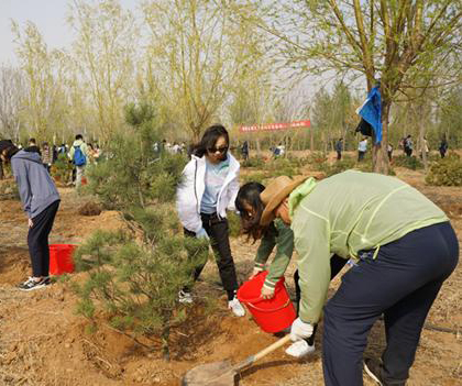 1524828266104928.jpg 1.jpg