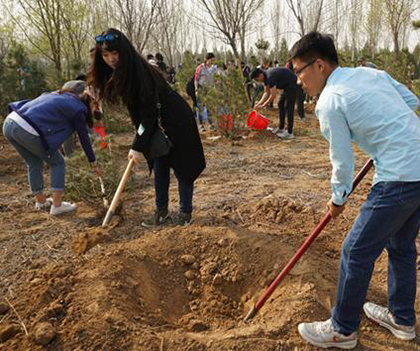 1524828274902376.jpg 2.jpg