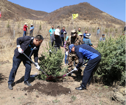 1524828519326180.jpg 01.jpg