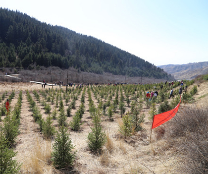 1524828554924925.jpg 03.jpg