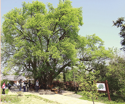 1525793254863131.jpg 01.jpg