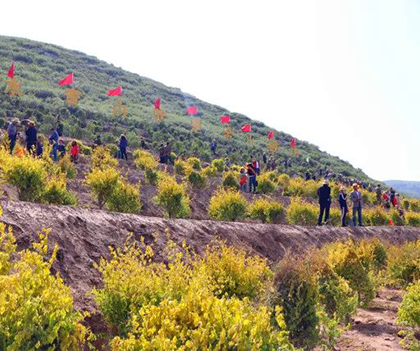 1525793513131780.jpg 01.jpg