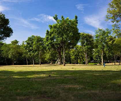 1525793861103198.jpg d9b392b020c93f2e41ac66a0f67c4281.jpg