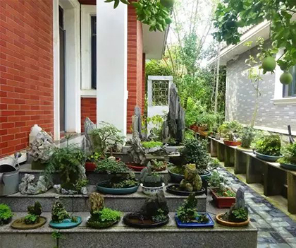 1527174470128230.jpg 02.jpg