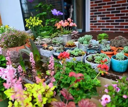 1527174484299544.jpg 03.jpg