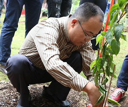 1527174700286161.jpg 03.jpg