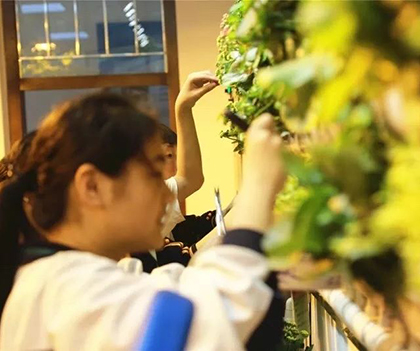 1527174737543491.jpg 10.jpg