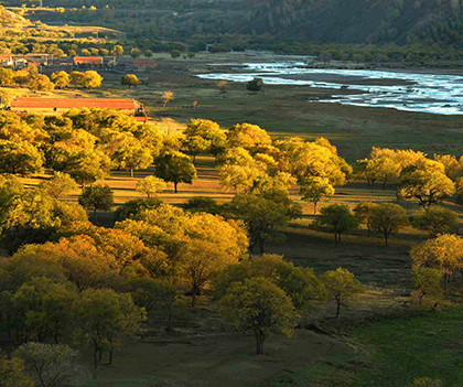 1527837024266840.jpg 01.jpg