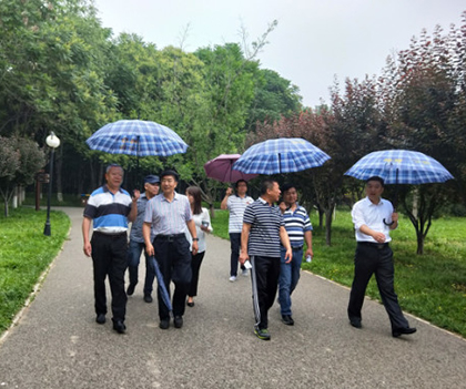 1527837260484021.jpg 01.jpg