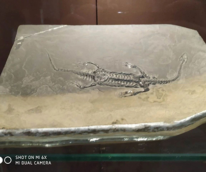 1527837407257157.jpg 01.jpg