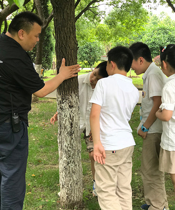 1527837558353290.jpg 07.jpg