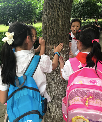 1527837586538757.jpg 09.jpg