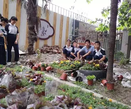 1527837724328762.jpg 11.jpg