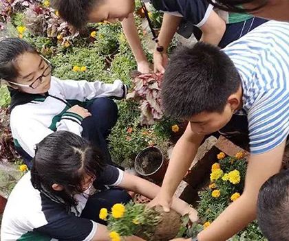 1527837730200054.jpg 12.jpg