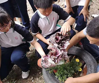 1527837751107876.jpg 13.jpg