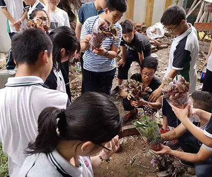 1527837758111469.jpg 14.jpg