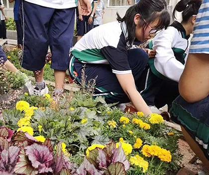 1527837764652619.jpg 15.jpg