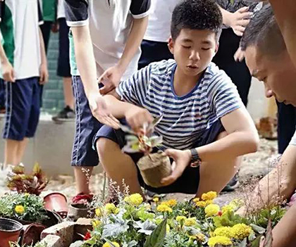 1527837773102058.jpg 16.jpg