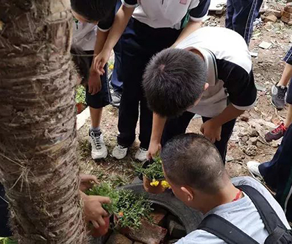 1527837777136363.jpg 17.jpg