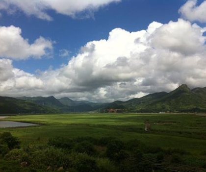 1527838110106245.jpg 01.jpg