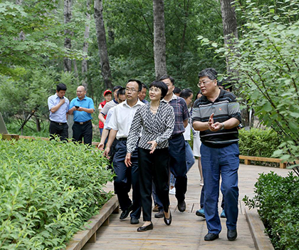 1528892244106903.jpg 2.jpg